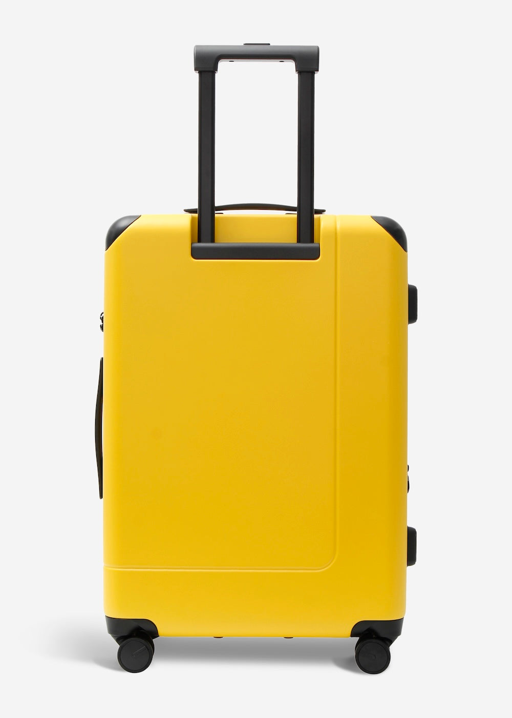 #colour_limited edition burly yellow