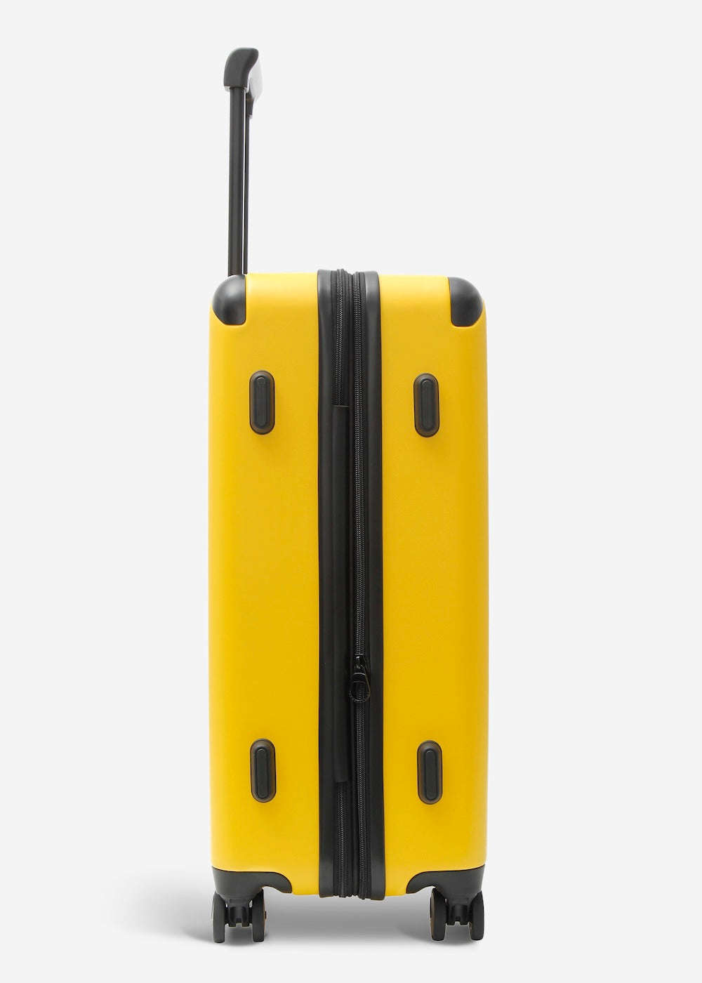 #colour_limited edition burly yellow