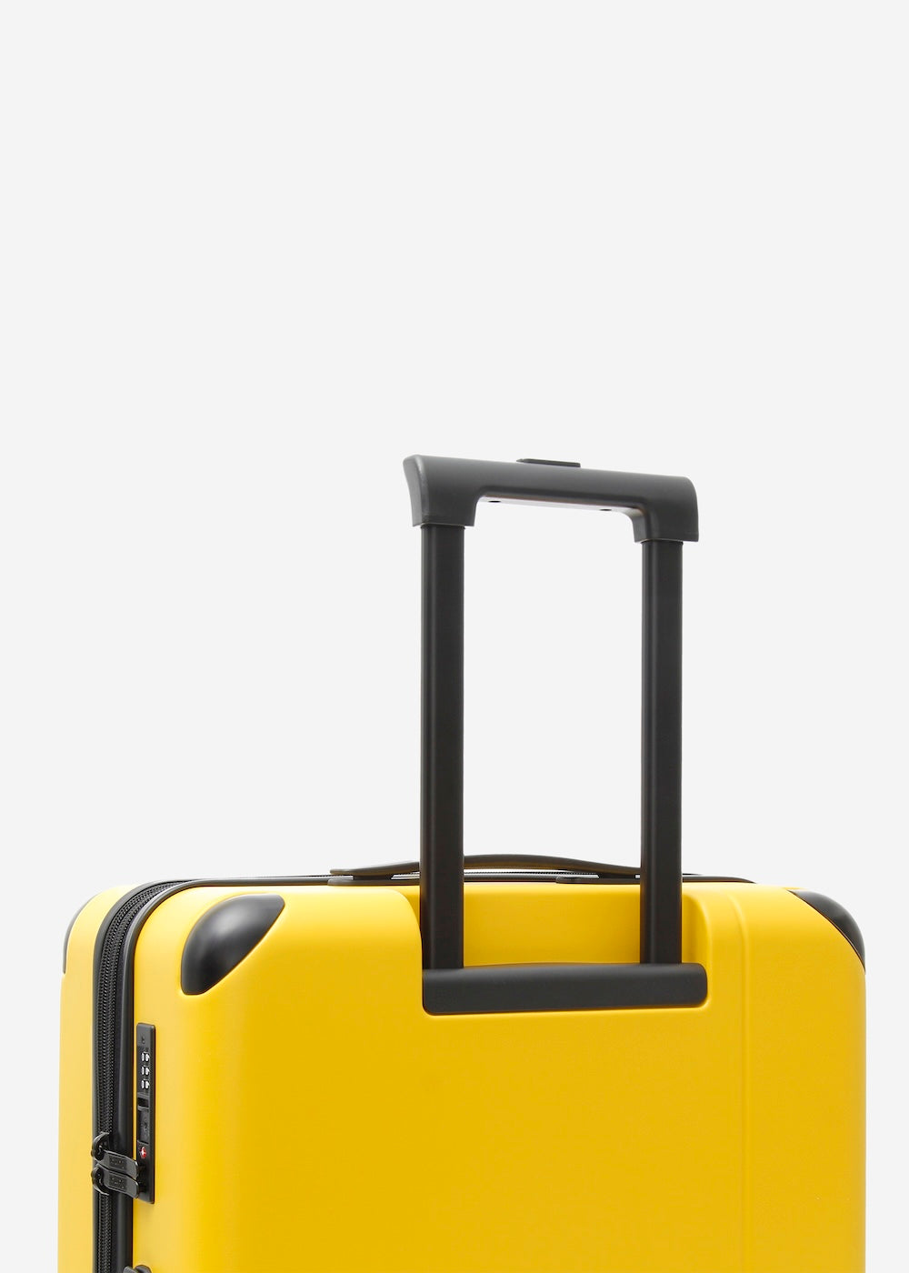 #colour_limited edition burly yellow