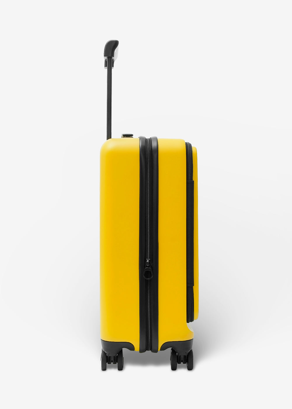 #colour_burly yellow