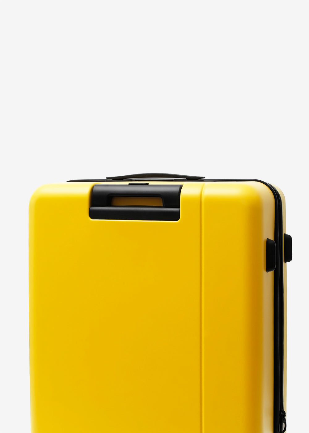 #colour_burly yellow
