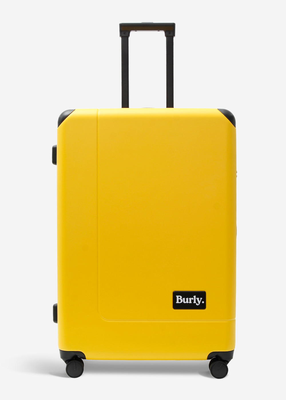 #colour_burly yellow