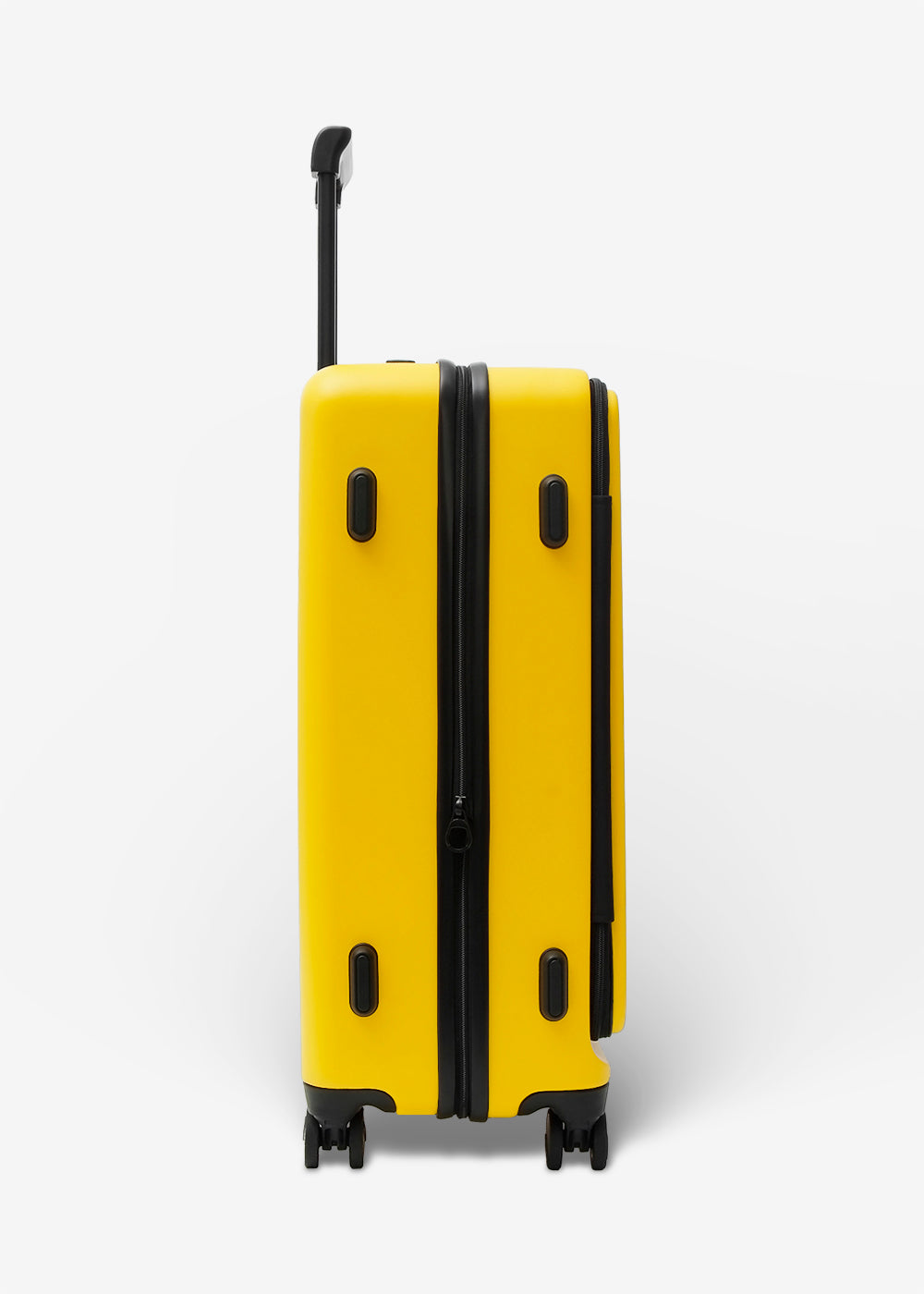 #colour_burly yellow